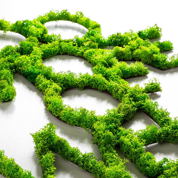 Wallity Do More Of What Makes You Happy Verde
